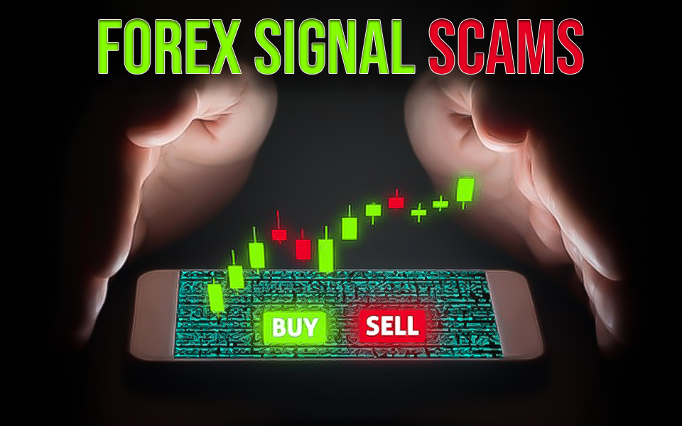 Forex Signal Scams